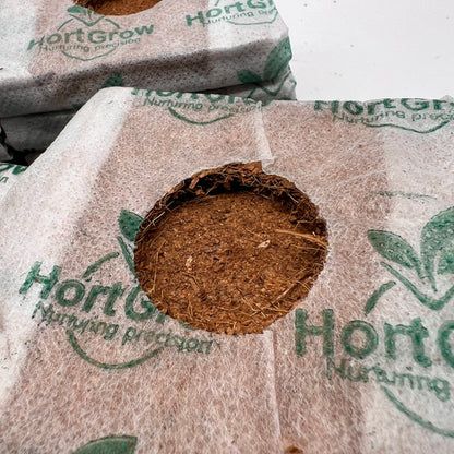 HortGrow Coco Coir Grow Cubes 4X4X2 24 Pcs Garden Hydroponics Greenhouse Organic